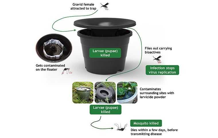 in2Care mosquito system diagram